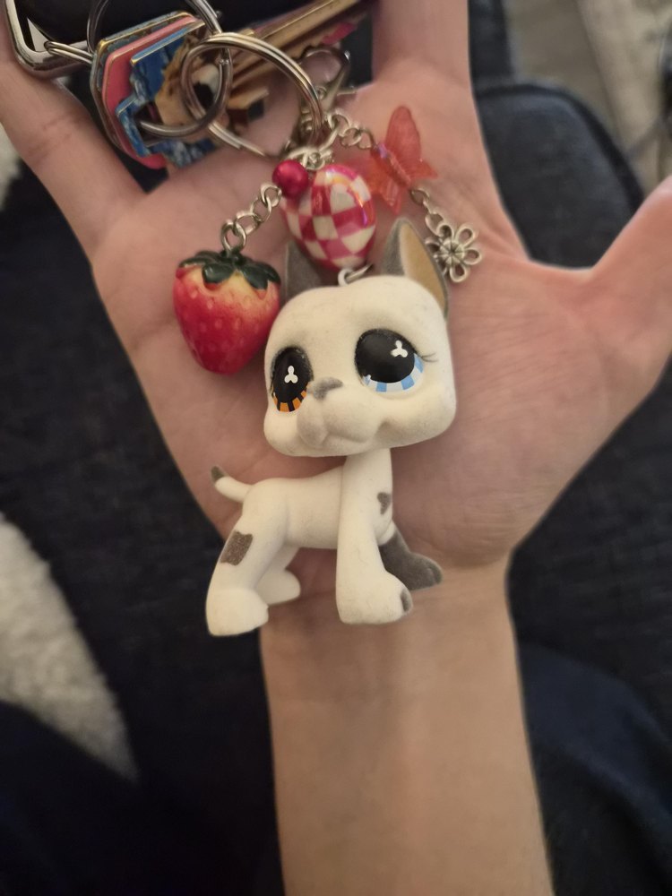 Photo from Carissa's review